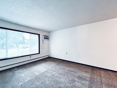 A room with a window and a carpeted floor.