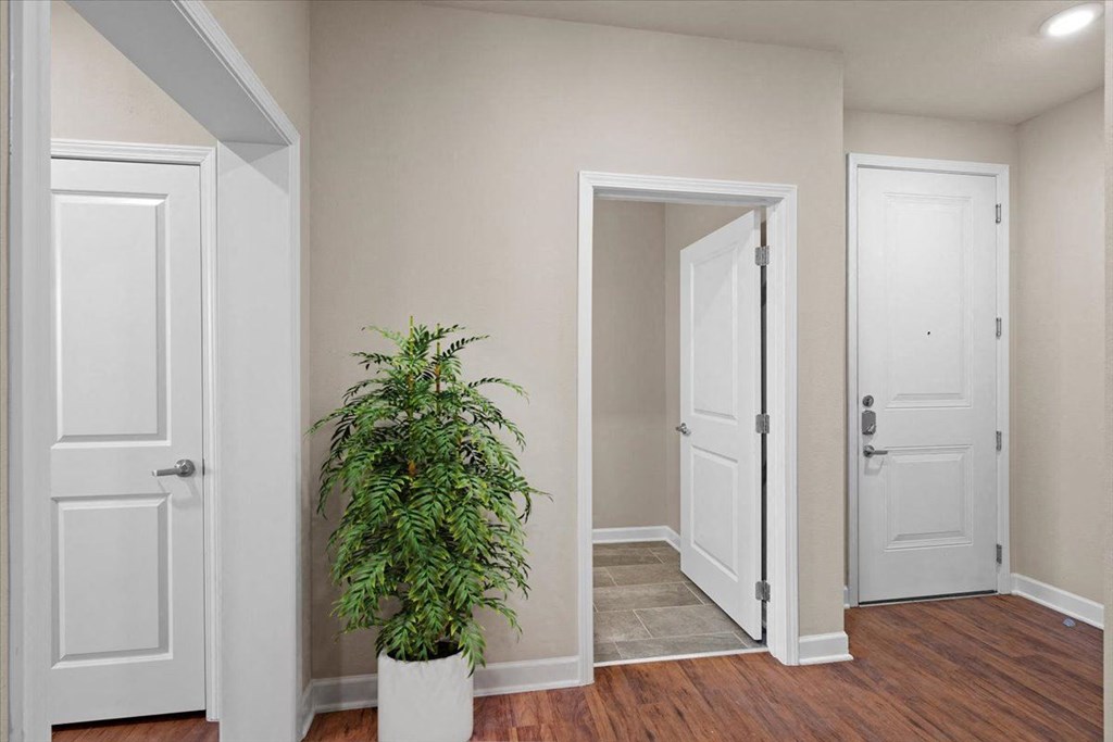a room with two doors and a plant in the corner