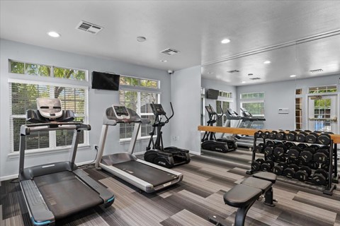A gym with treadmills, elliptical machines, and dumbbells.