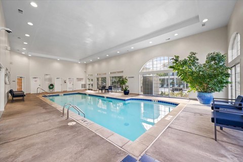 A large indoor swimming pool with a bench and a tree.
