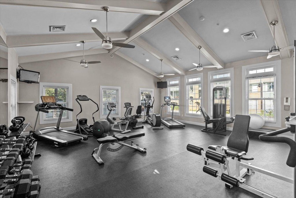 the gym is equipped with a variety of weights and cardio equipment