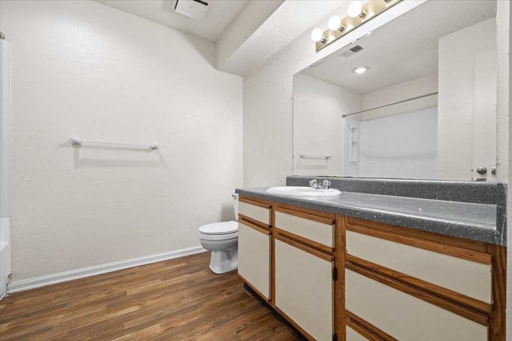 a bathroom with a sink and a toilet
