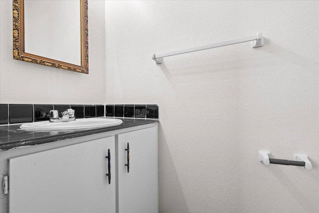 a bathroom with a sink and a shower and a mirror