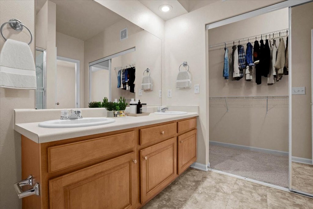 a bathroom with a sink and a shower and a mirror
