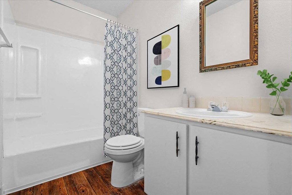 a bathroom with a sink and a toilet and a bath tub