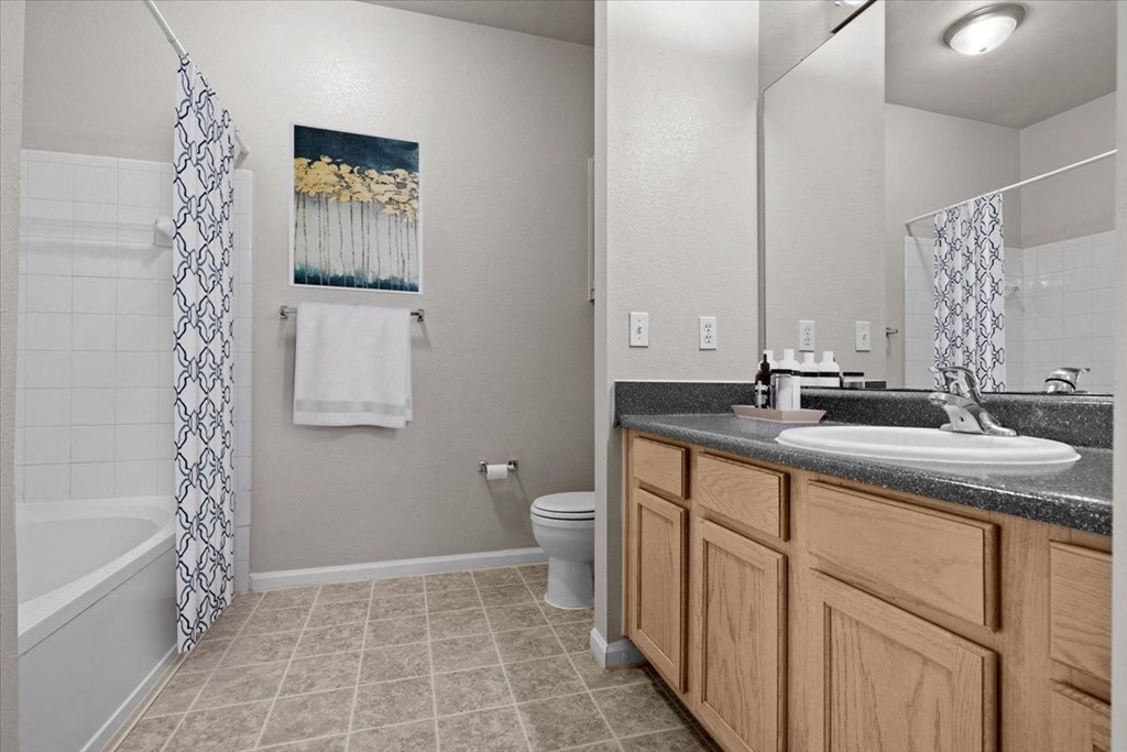 a bathroom with a sink and a toilet and a shower