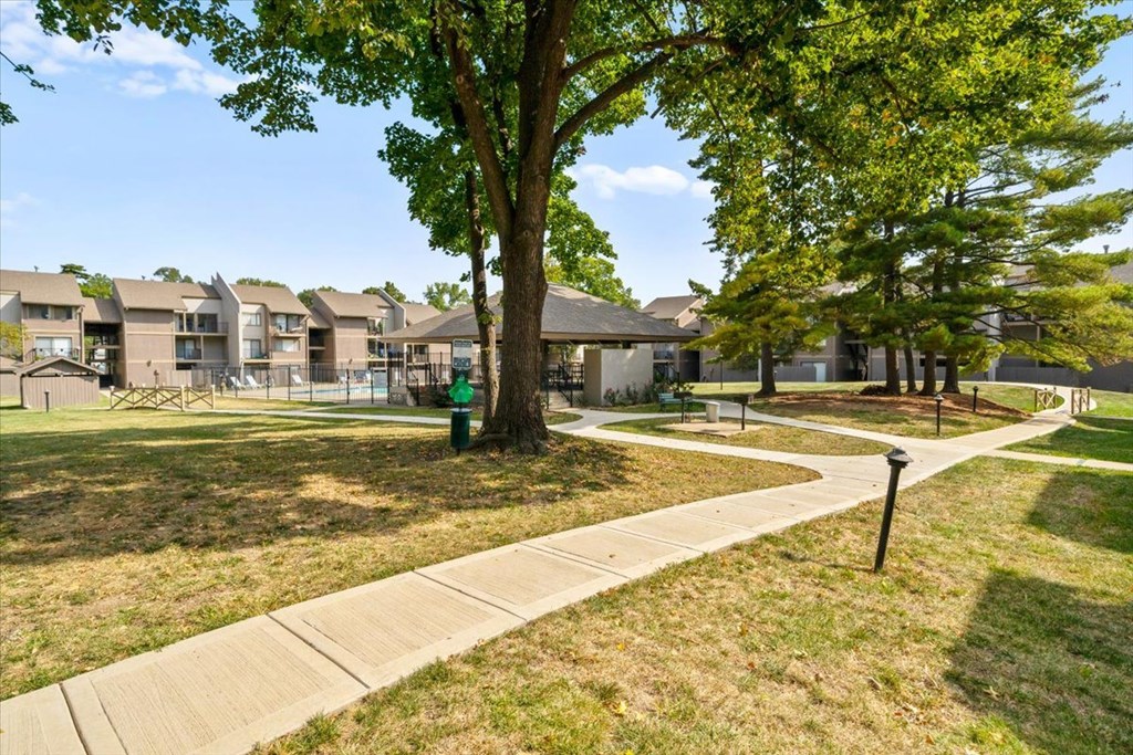 A tree in a grassy area with apartment buildings in the background.
