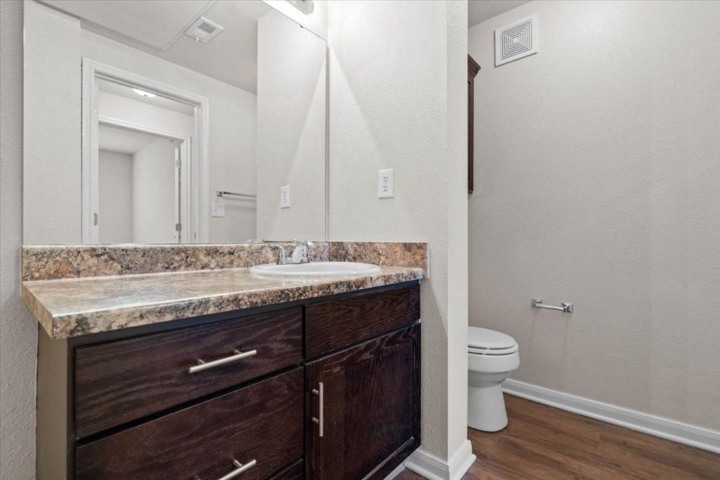 a bathroom with a sink and a toilet and a mirror  at Crescent, Lenexa, Kansas