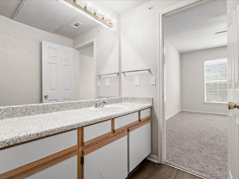 a bathroom with a sink and a mirror