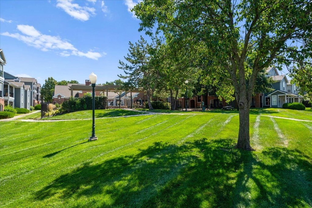 A tree stands in a grassy field with a street light to its left. at Somerset Oaks Apartment Homes, Olathe