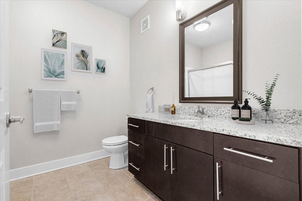 a bathroom with a vanity and a toilet and a mirror