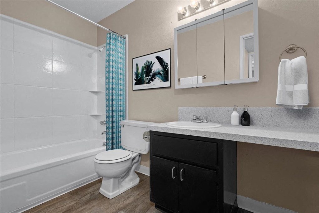 a bathroom with a sink toilet and a shower