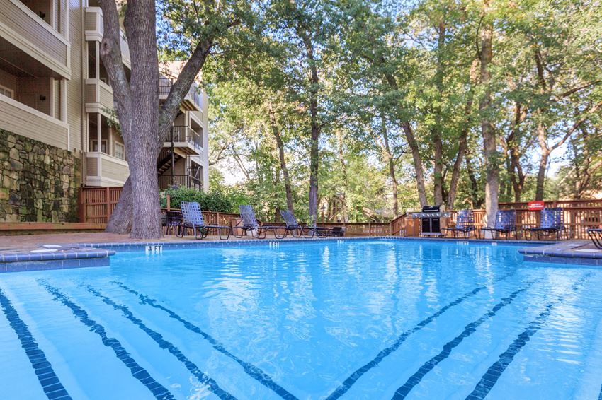 pool with trees - Photo Gallery 1