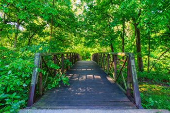 Forest Walking Path at Waterford Place Apartments & Townhomes, Overland Park, KS