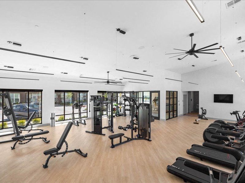 the gym is equipped with a variety of weights and cardio equipment