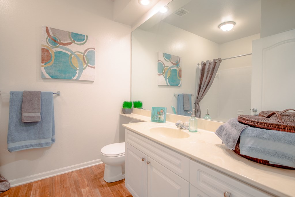 Bath at Wynnewood Farms Apartments, Kansas