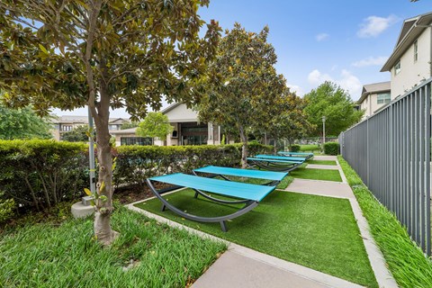 A row of blue sun loungers are lined up on a green lawn.
