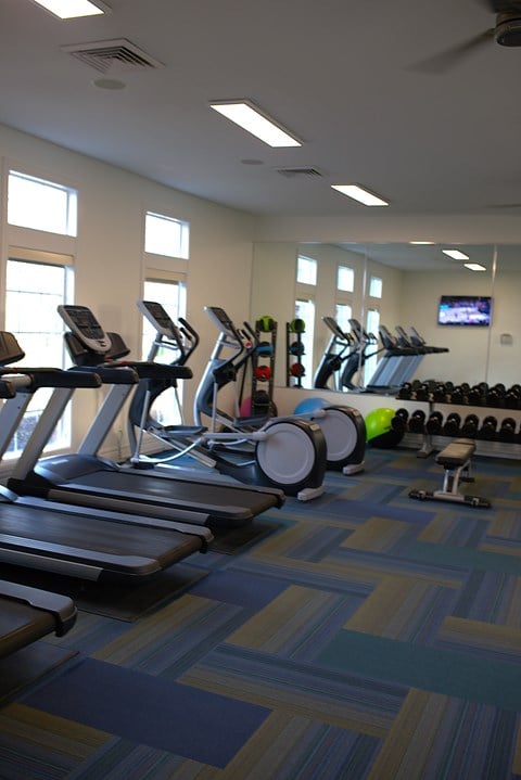 A gym with treadmills, elliptical machines, and weights.