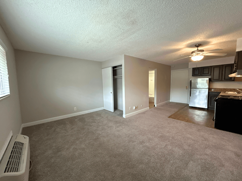 Classic Studio - Living Room with a carpeted floor and a ceiling fan.