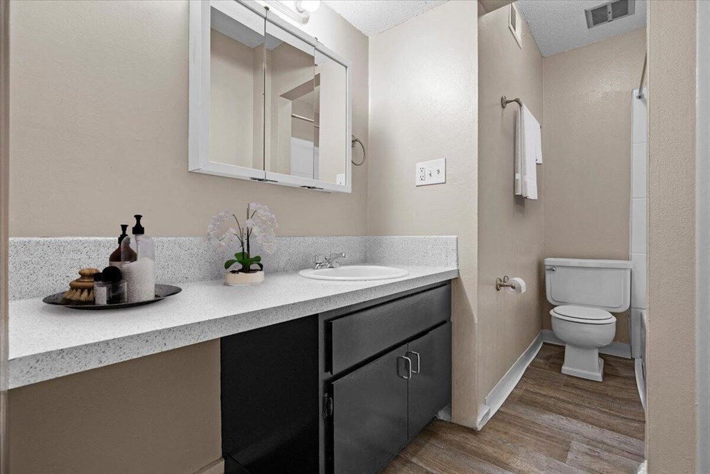 a bathroom with a sink and a toilet