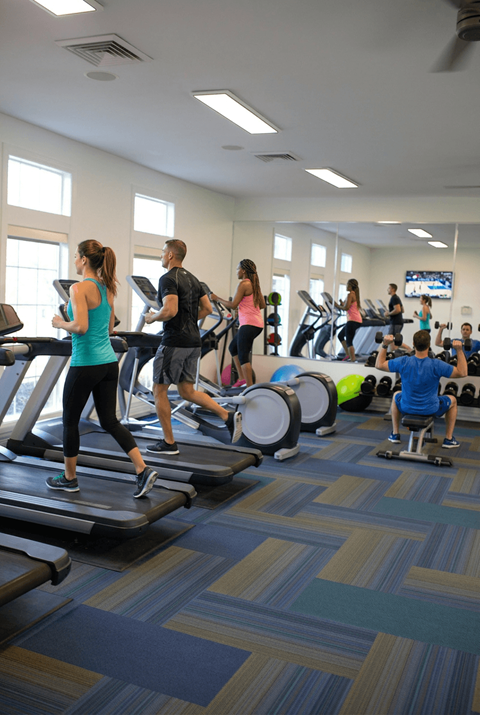 A group of people are exercising on treadmills in a gym.