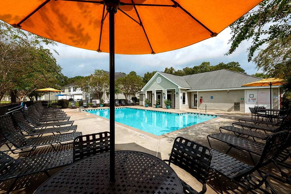 Sparkling Swimming Pool