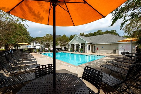 Sparkling Swimming Pool
