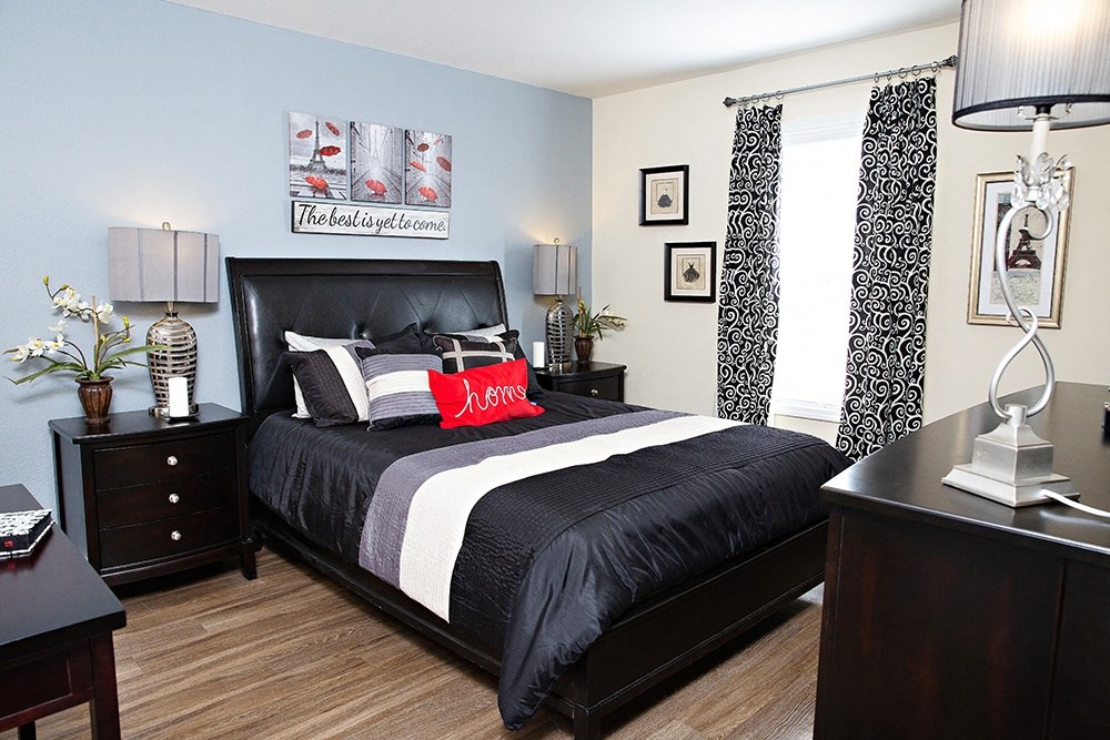 Bedroom with accent wall and queen size bed