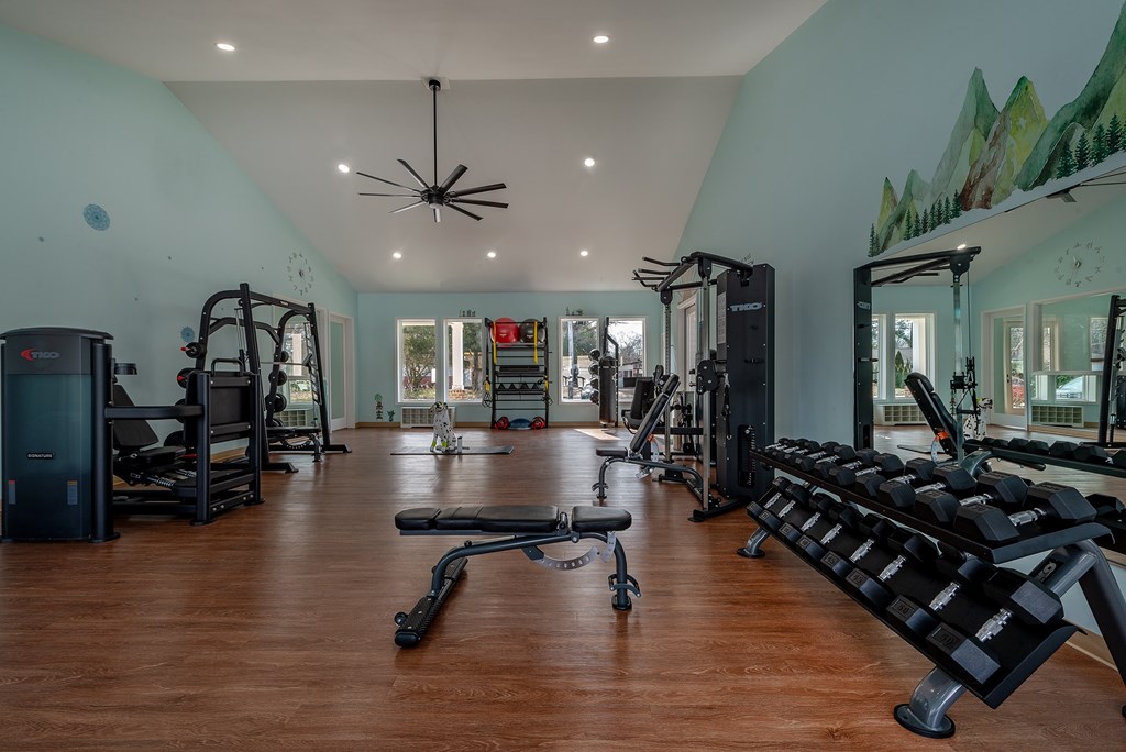 A gym with a variety of equipment including treadmills, weights, and a bench press.