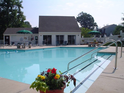 A pool with a building in the background and a potted plant in the foreground.