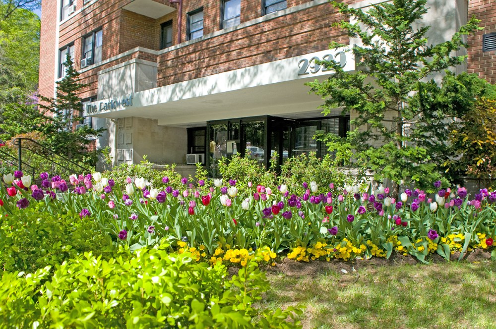 a flower garden in front of a building