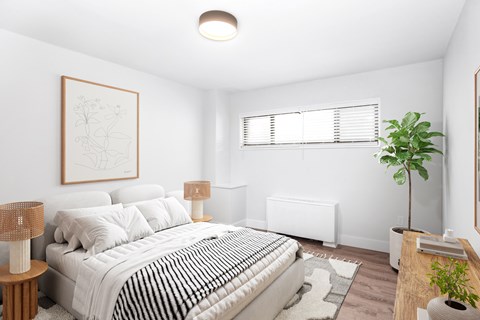 A bedroom with a large bed and a plant on the side table.