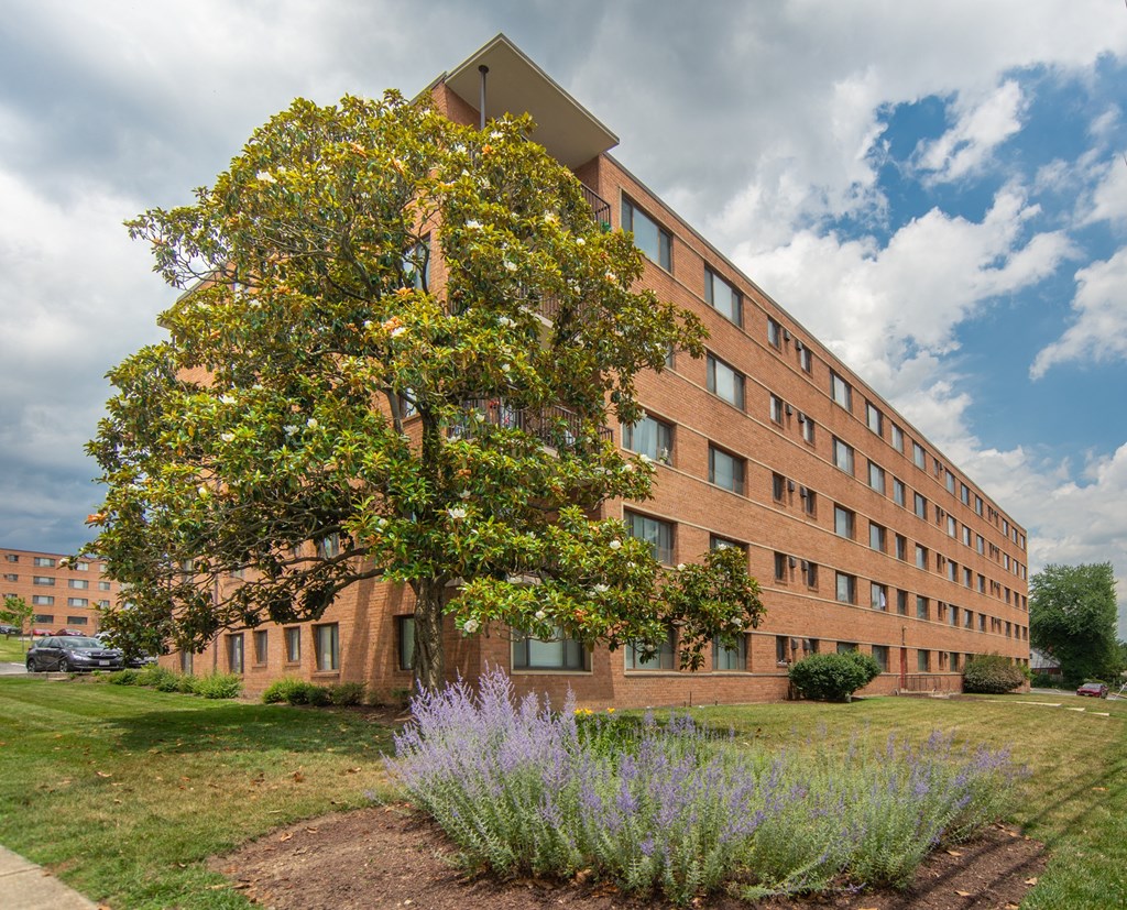 a building with a tree in front of it