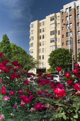 a city street with roses in the foreground and an apartment building in the background