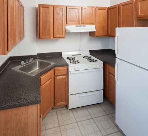 a kitchen with a stove and a sink and a refrigerator