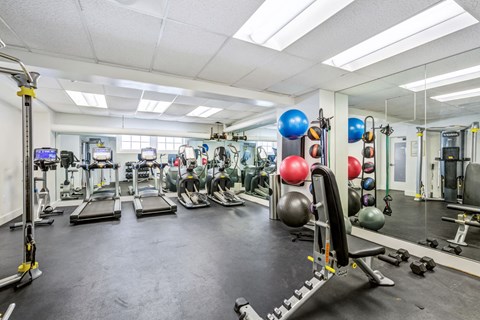 a gym with cardio equipment and weights on the floor