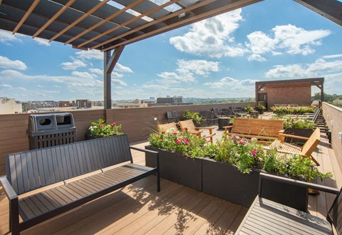 a rooftop deck with benches and plants and a barbecue grill