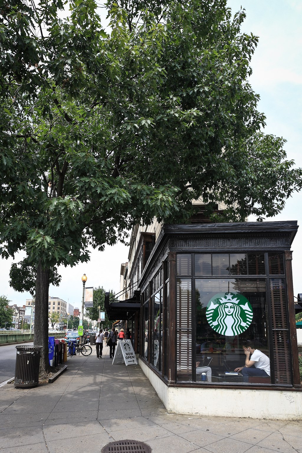 a coffee shop on a sidewalk next to a tree