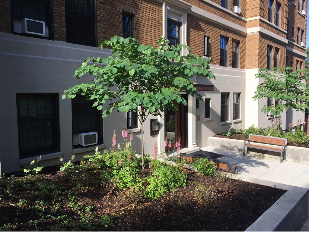 a bench and a tree in front of a building