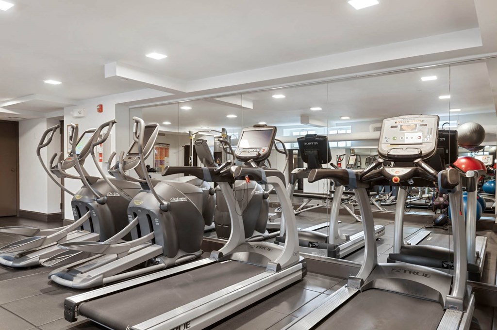 the gym is equipped with state of the art cardio equipment