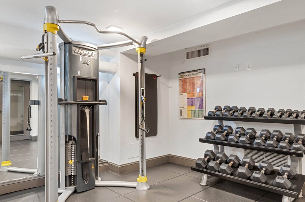 a gym with weights and a wall of shelves of dumbbells