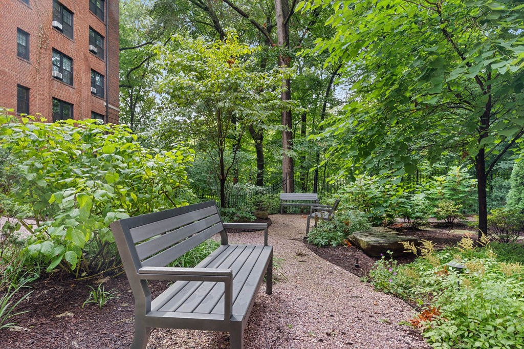 two benches on a path in a park