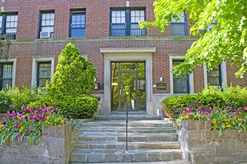 3002 Rodman Street, NW Studio-2 Beds Apartment for Rent - Photo Gallery 3