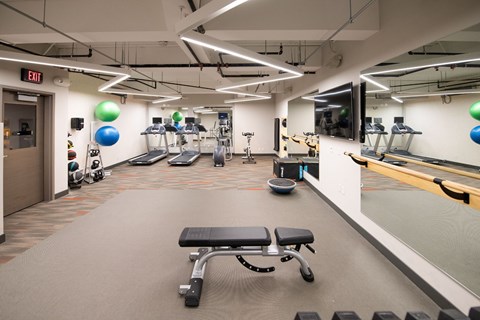 a fitness center with treadmills and weights in a gym