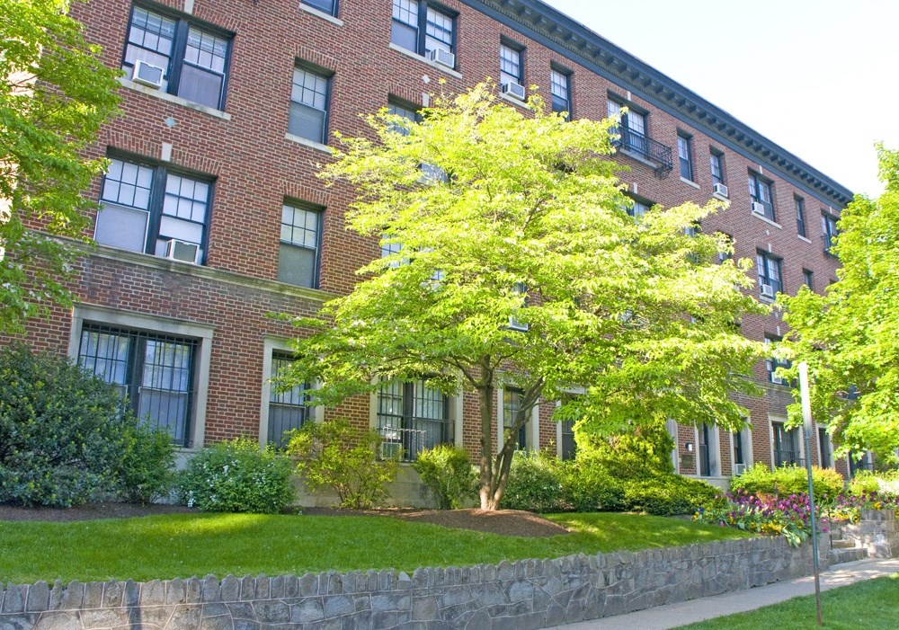 a tree in front of a brick building