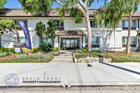 a beach front property management building with a dog in front of it