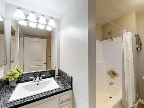 A bathroom with a sink, mirror, and shower.