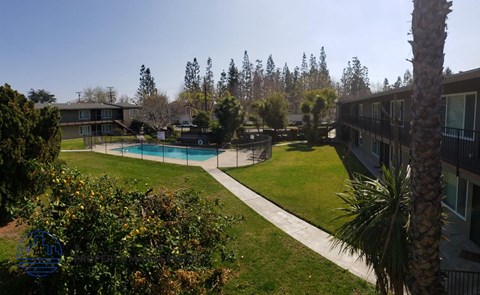 A pool surrounded by a grassy area and trees.