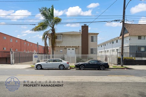 Two cars parked in front of a building with a palm tree and a sign that says