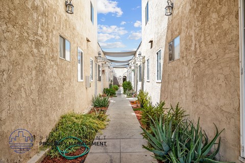 a walkway between two buildings with plants on the side
